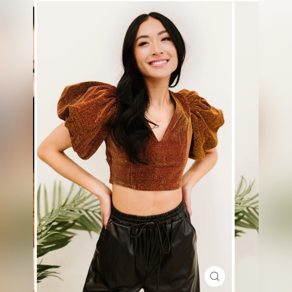Privy Brown Puff Sleeve Crop Top